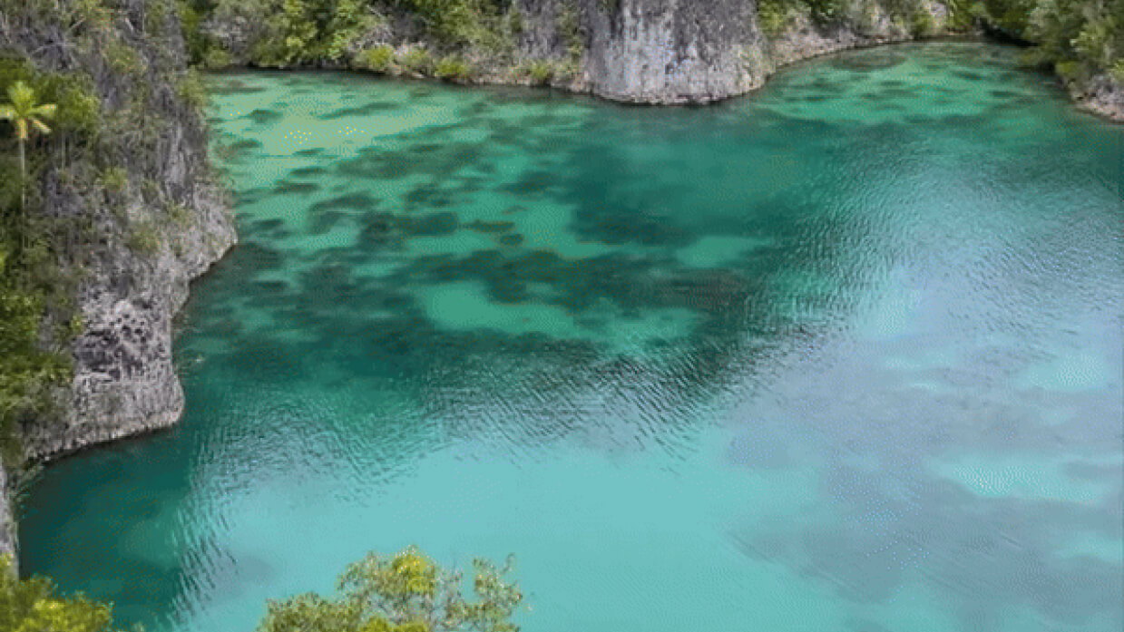 Abon Gulung Pawai,  Oleh-oleh Khas Papua